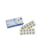 Octocolagen Éponges hémostatiques (40 unités)