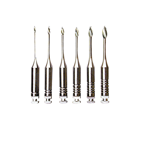 Gates-removebg-preview Forets De Gates – Image 1